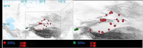 项目获取的天山东西部古人群的线粒体与核基因组分布图。 乐动平台·（中国）官方网站供图
